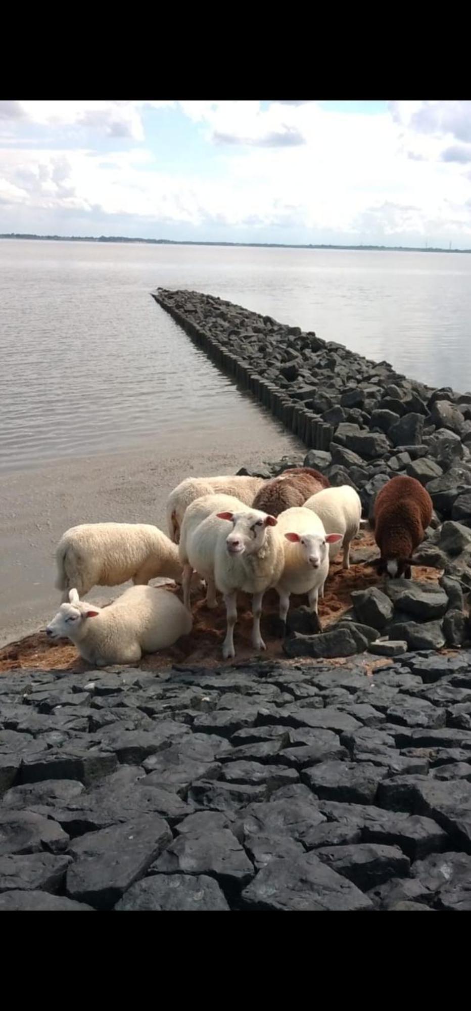 Am Alten Siel Wilhelmshaven Dış mekan fotoğraf